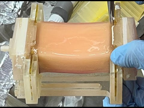 Revolutionary Cultured Meat Breakthrough: Thicker, Tastier &amp; More Realistic!