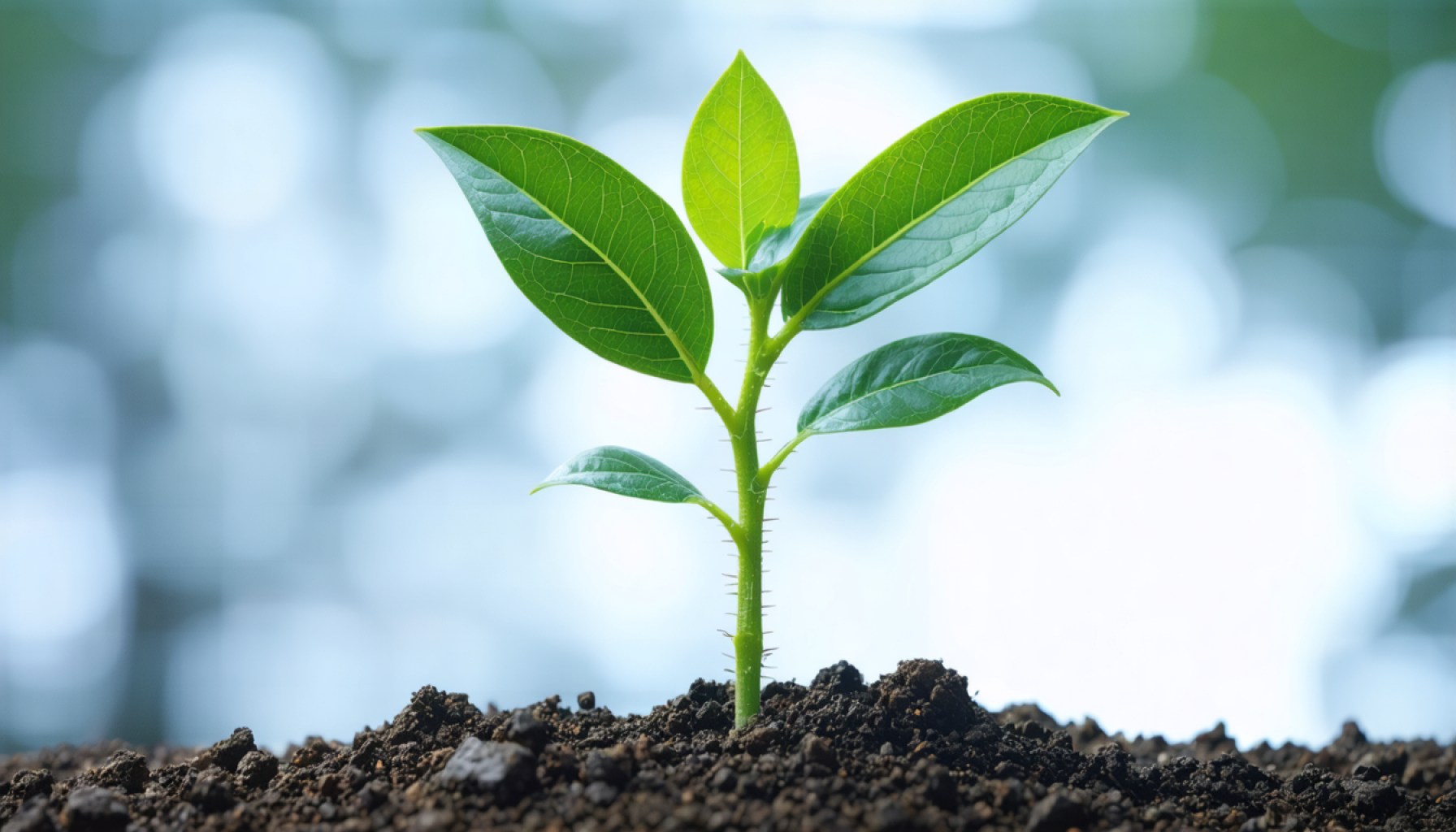 As BioNTech Shifts Focus, Financial Winds Bring Tumultuous Changes and Strategic Ambitions
